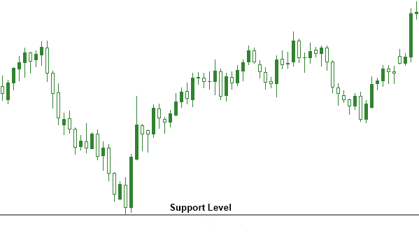 Support Line